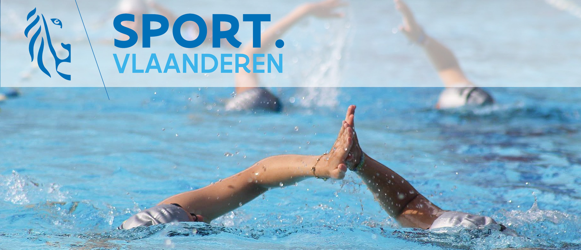 vzr zwemclub sport vlaanderen